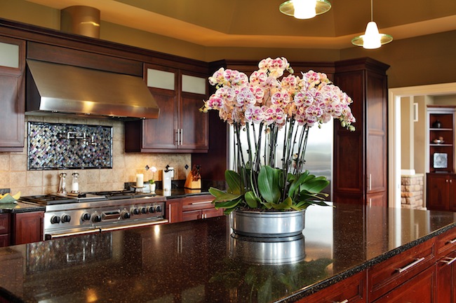 grand-orchid-display