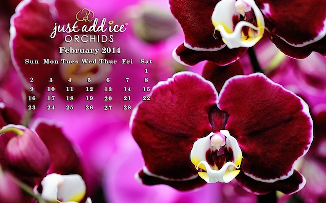 February_2014_English