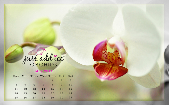 May-Desktop-Calendar