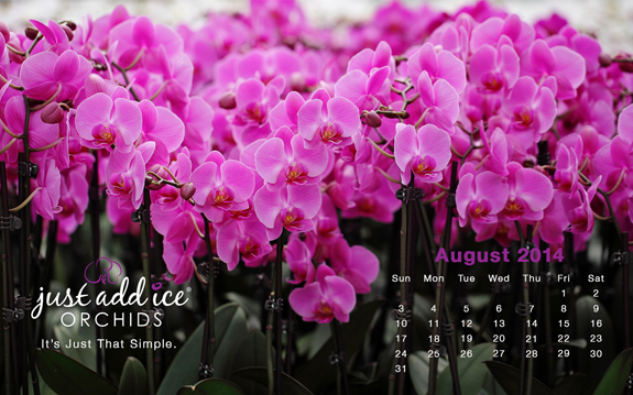 JAI_AugustNone_website_version