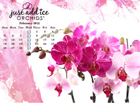 February Orchid Watering Calendar