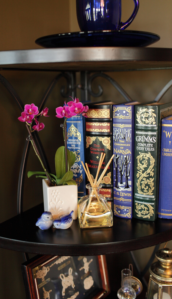 mini-purple-orchid-on-bookcase