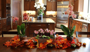 Orchid Holiday Decorating