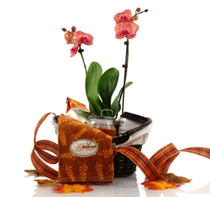 orchid hostess gift