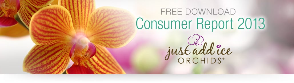 Free Download Consumer Report 2013