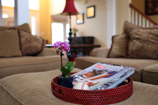 mini-orchid-living-room-2