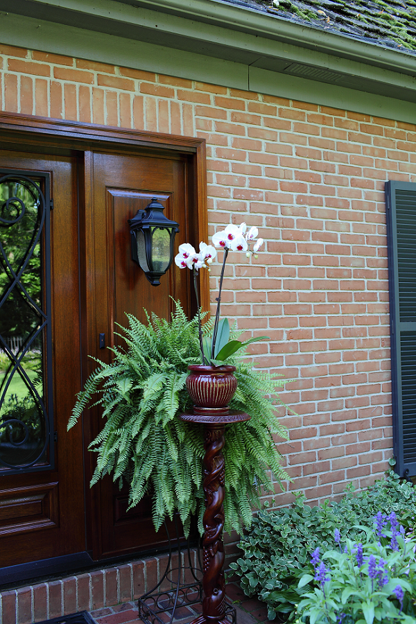 Orchid-entrance-1