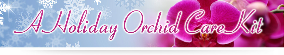 HolidayKit-LP-Banner.jpg