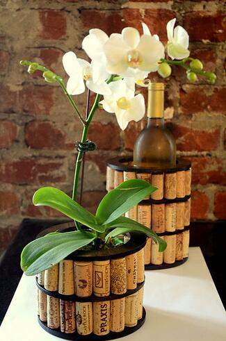 Vertrek plug Aanhankelijk 5 Unconventional Pot Ideas for Your Orchid