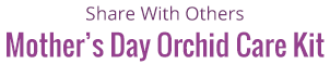 Share Our Mothers Day Kit
