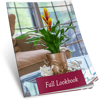 Fall Lookbook