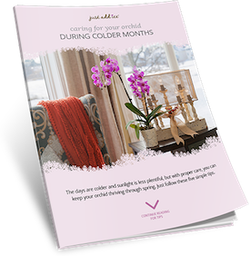 Care During Colder Months