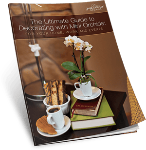 Decorating With Minis