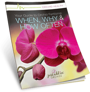 Fertilizing Guide