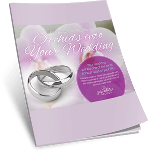 Incorporating Orchid Wedding