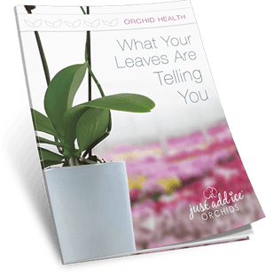 Leaf Guide