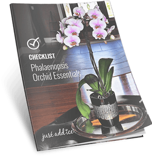 Orchid Essentials Checklist
