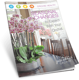 Seasonal Changes