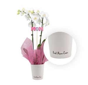 2021-0415-mothersday-3