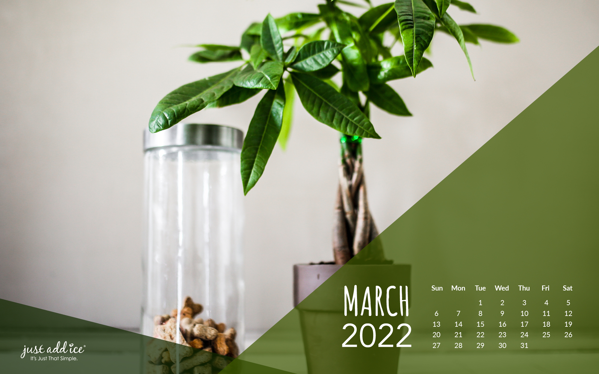 Oberlin Calendar 2022 Free Desktop Watering Calendars