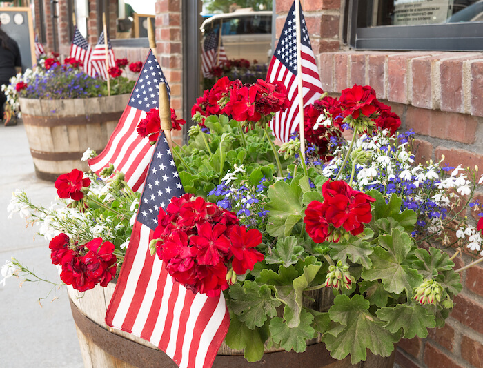 4th of July Decor Flags in Plants