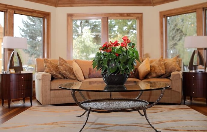 Anthurium Duo_Living Room-1