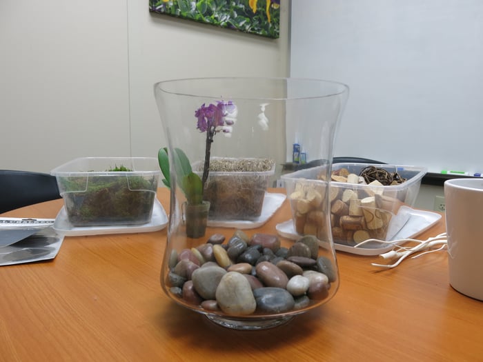 DIY orchid terrarium rocks