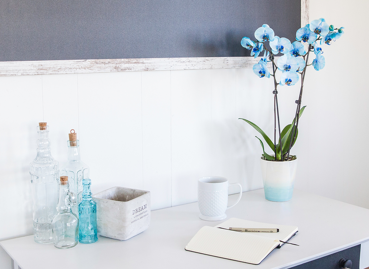 Blue Orchid