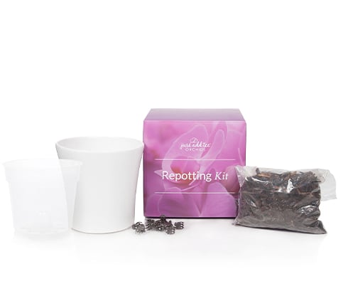 product-img-repotting-kit-1