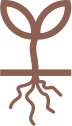 Brown Roots Icon