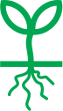 Green Roots Icon