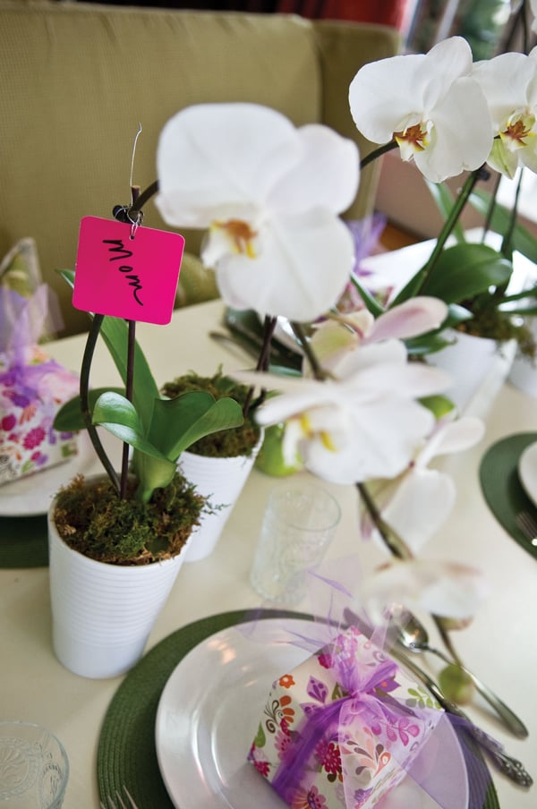 5 inch orchid mother's day gift