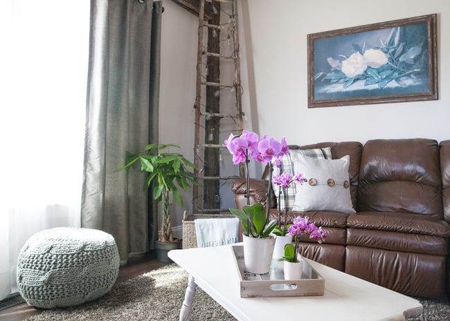 Orchid Living Room Couch 