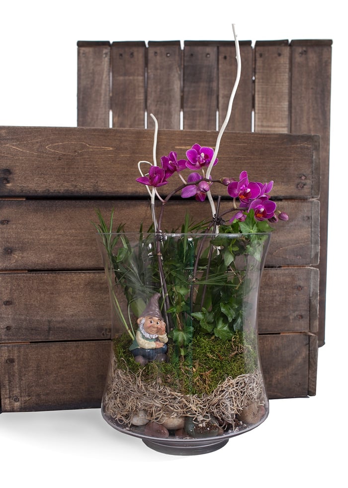 Help Plant Thrive With This DIY Orchid