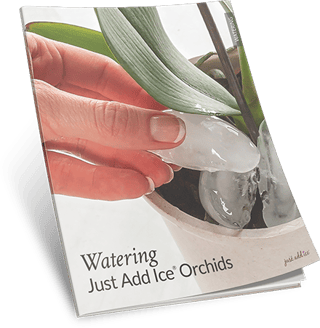 thumb-watering-guide.png