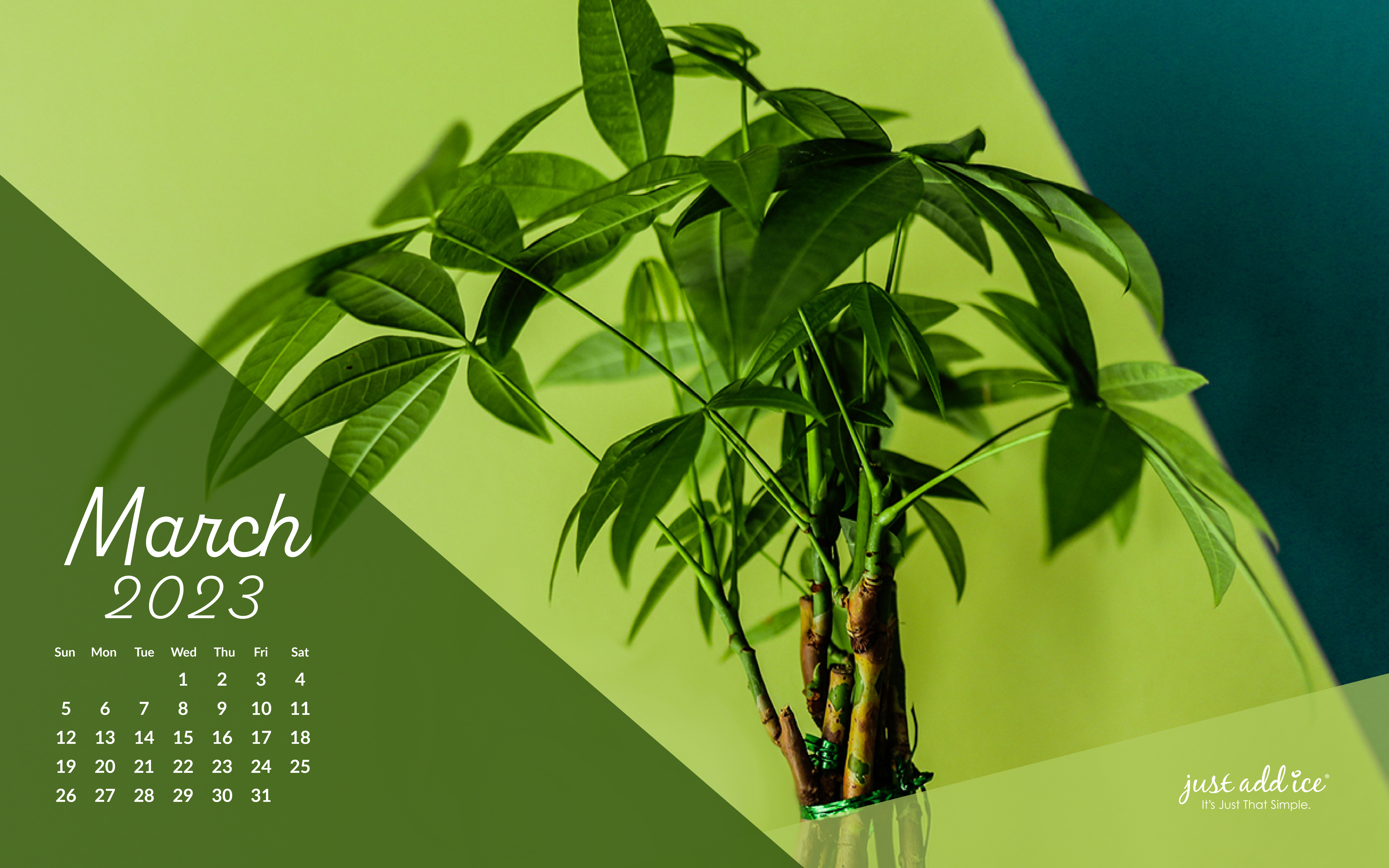 English Watering Reminder March 2023 