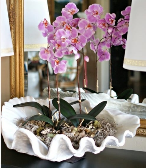 Phalaenopsis-orchid-decor.jpg