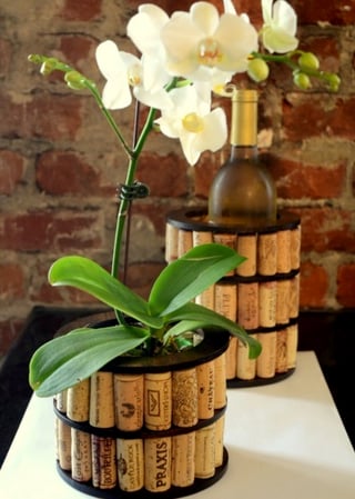 Phalaenopsis-orchid-decor2.jpg