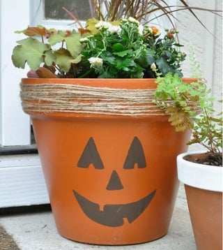 orchid-pots-planters-pumpkin.jpg