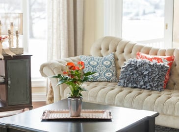 anthurium plant on a coffee table by a couch