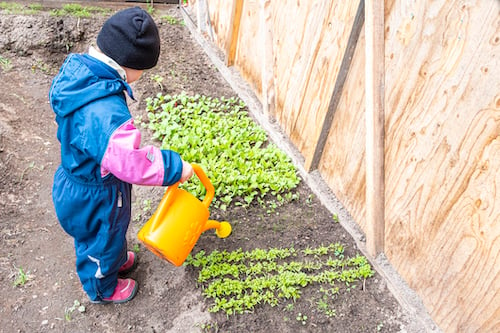 child-watering-herbs