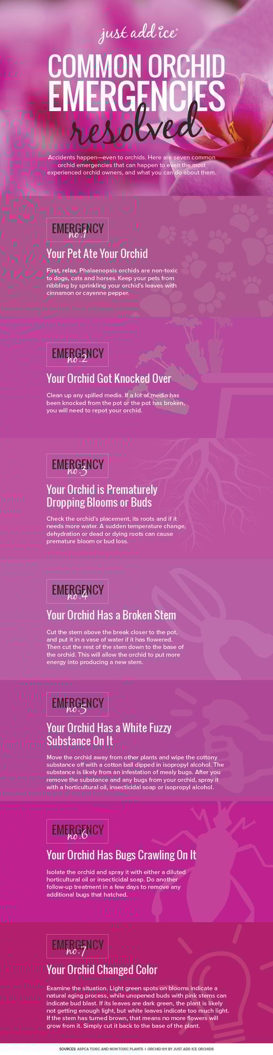 common-orchid-emergencies-resolved-infographic.jpg