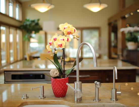 floral-sales-kitchen-orchid.jpg