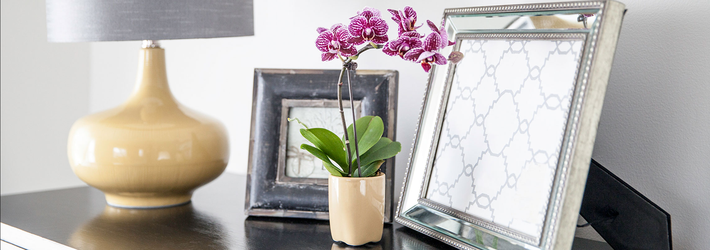 Orchid