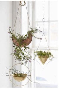 hanging-plants.jpg