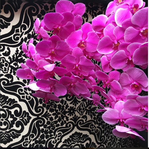 image06.png