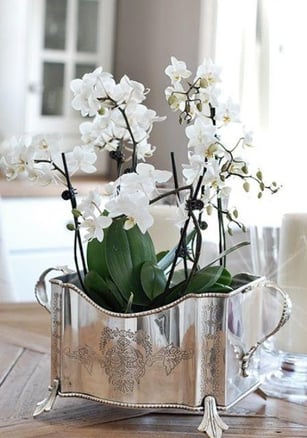 orchid arrangements with antique accessories