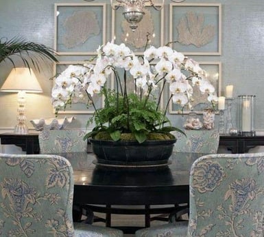 horizontal orchid arrangements