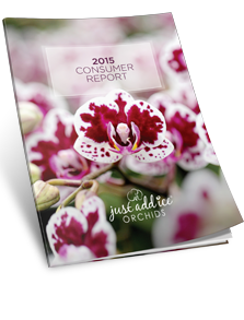 consumer report consumer report