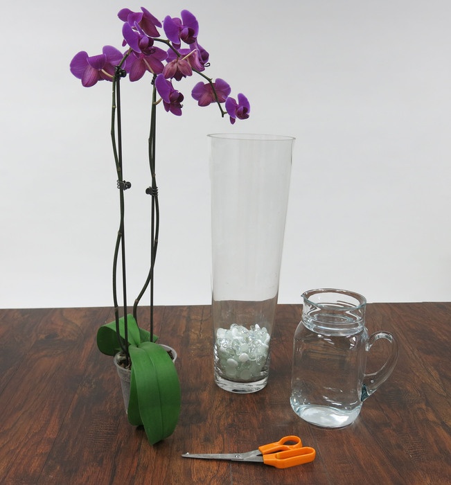 Easy DIY Orchid Centerpiece to Make Any Room Sparkle